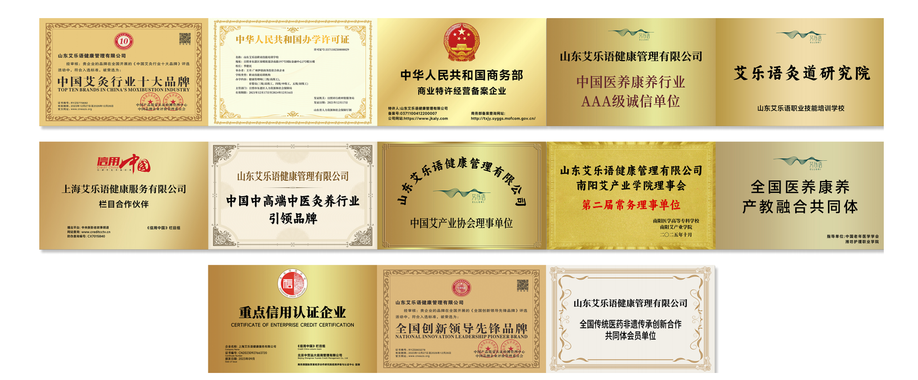 艾乐语品牌荣誉证书